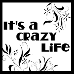 Crazy Life