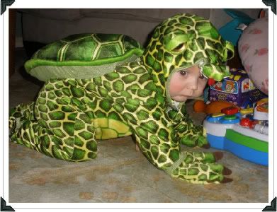 Matthew the Turtle