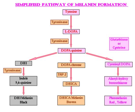 กิฟฟารีน กลูต้า-อะมิโน แอซิด มิกซ์ 750 giffarine Gluta-Amino Acid Mix750