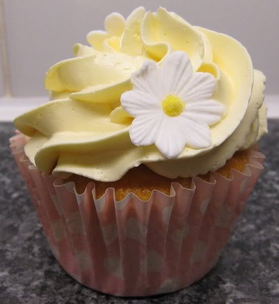 Daisy Cupcake Pictures, Images and Photos
