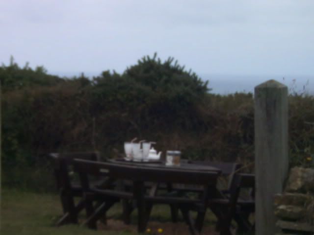 DSCF0040.jpg