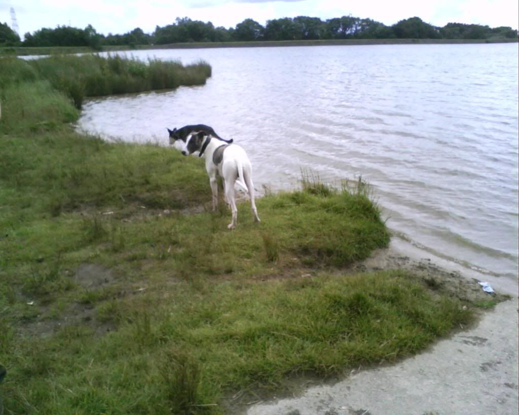 IMG0386A.jpg