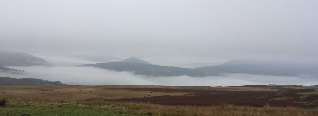 20151104_113713.jpg