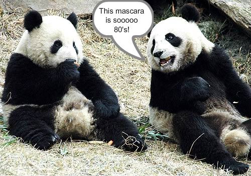 pandas2021-1.jpg