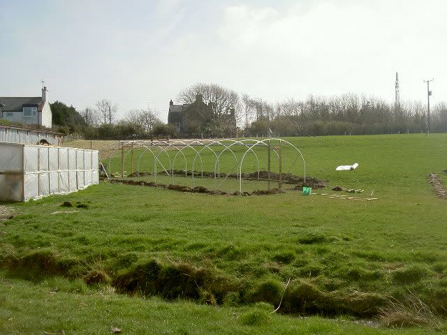 polytunnel.jpg