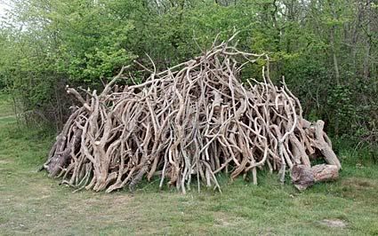 sticks.jpg