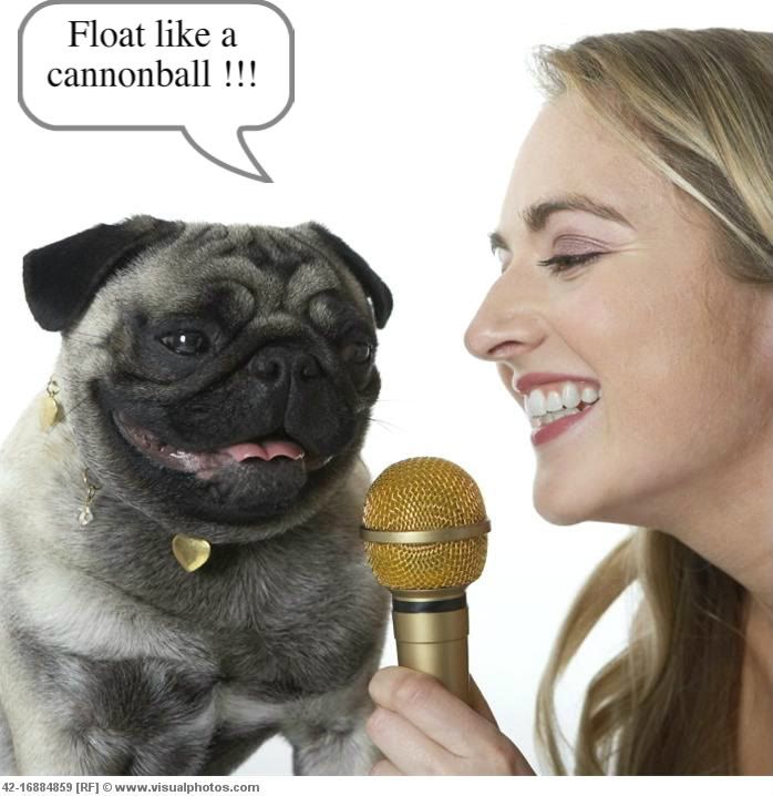woman_and_pug_singing_into_micropho-1.jpg