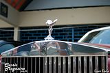 Rolls Royce Silverspur 1981