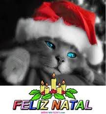 gato natal 2