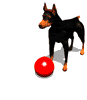 dogandredball.gif picture by zomakay