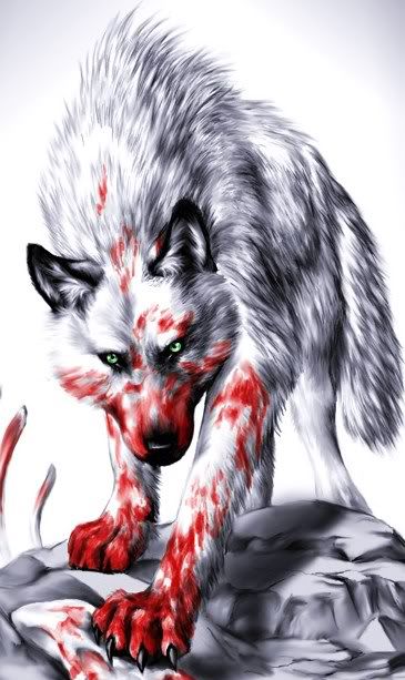 wolf photo: wolf White_Wolf_2_.jpg