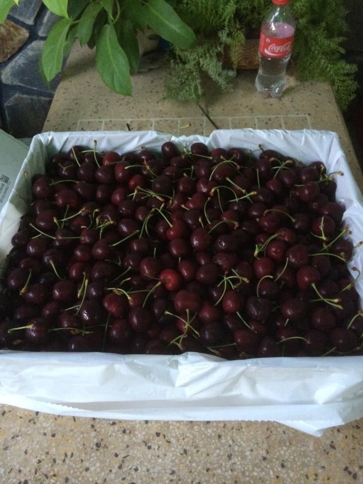 Bán trái Cherry tươi giá mềm - 1