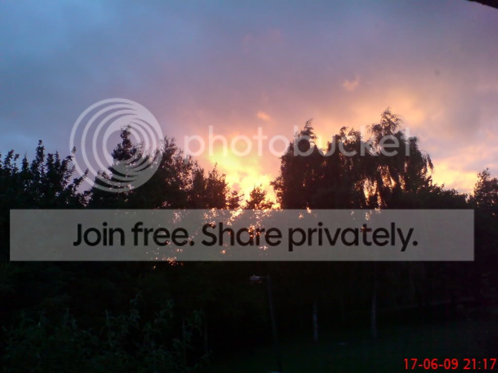 DSC00287.jpg