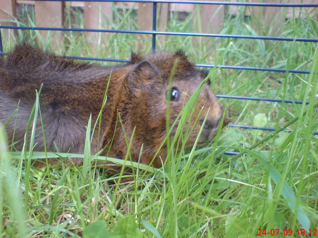 DSC00331.jpg