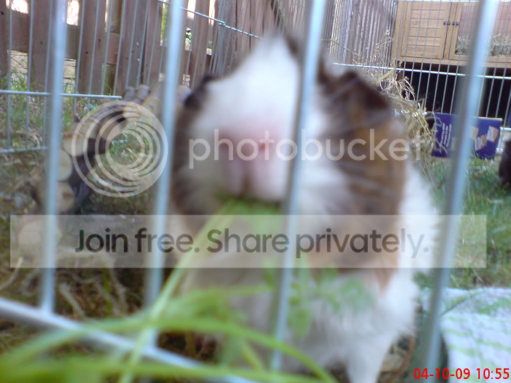 DSC00392.jpg
