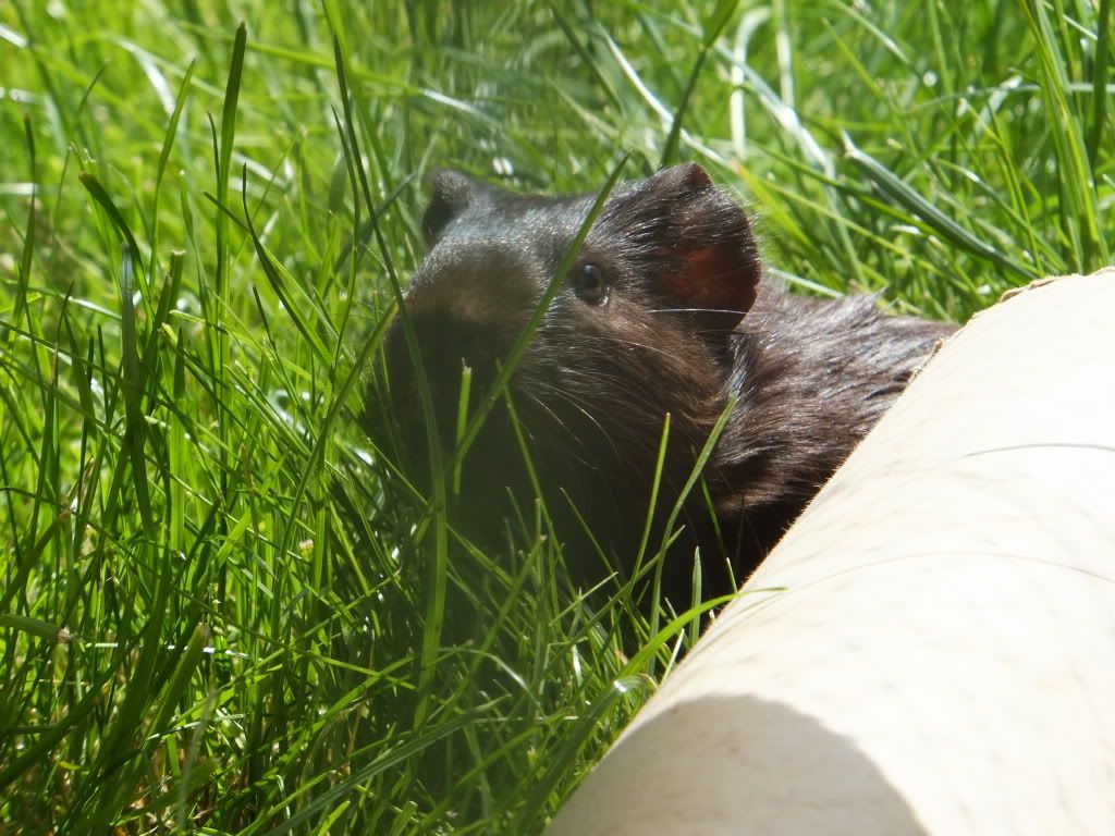 DSCF3166.jpg