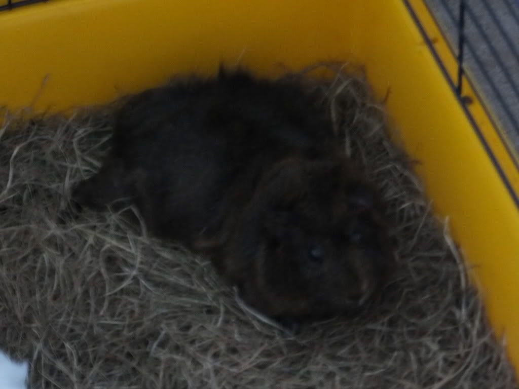 DSCF3291.jpg