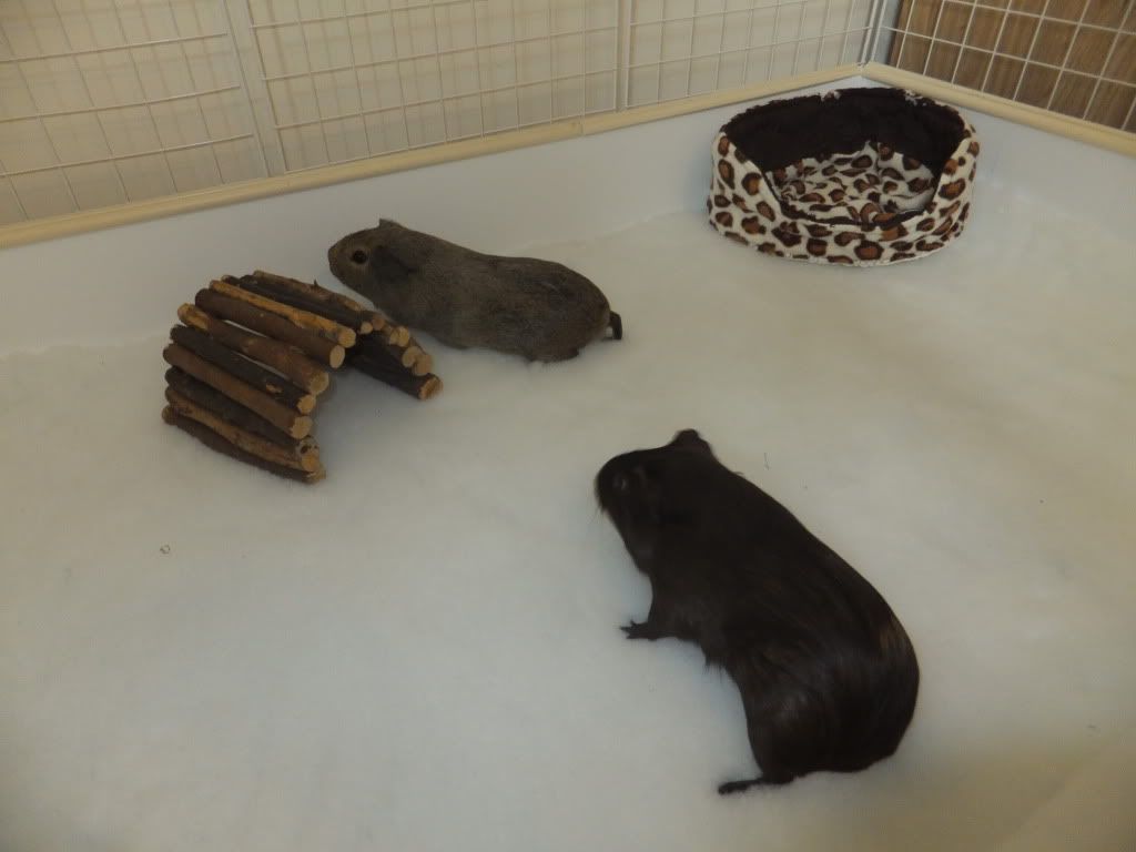DSCF3373.jpg