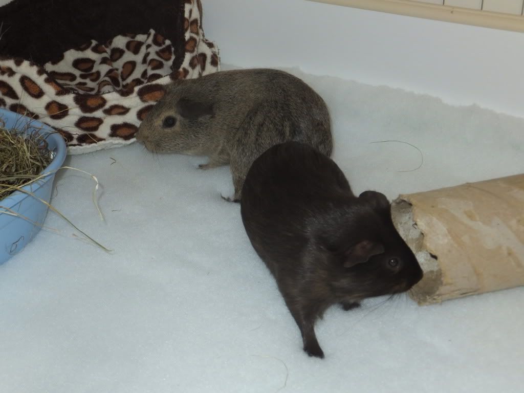 DSCF3375.jpg