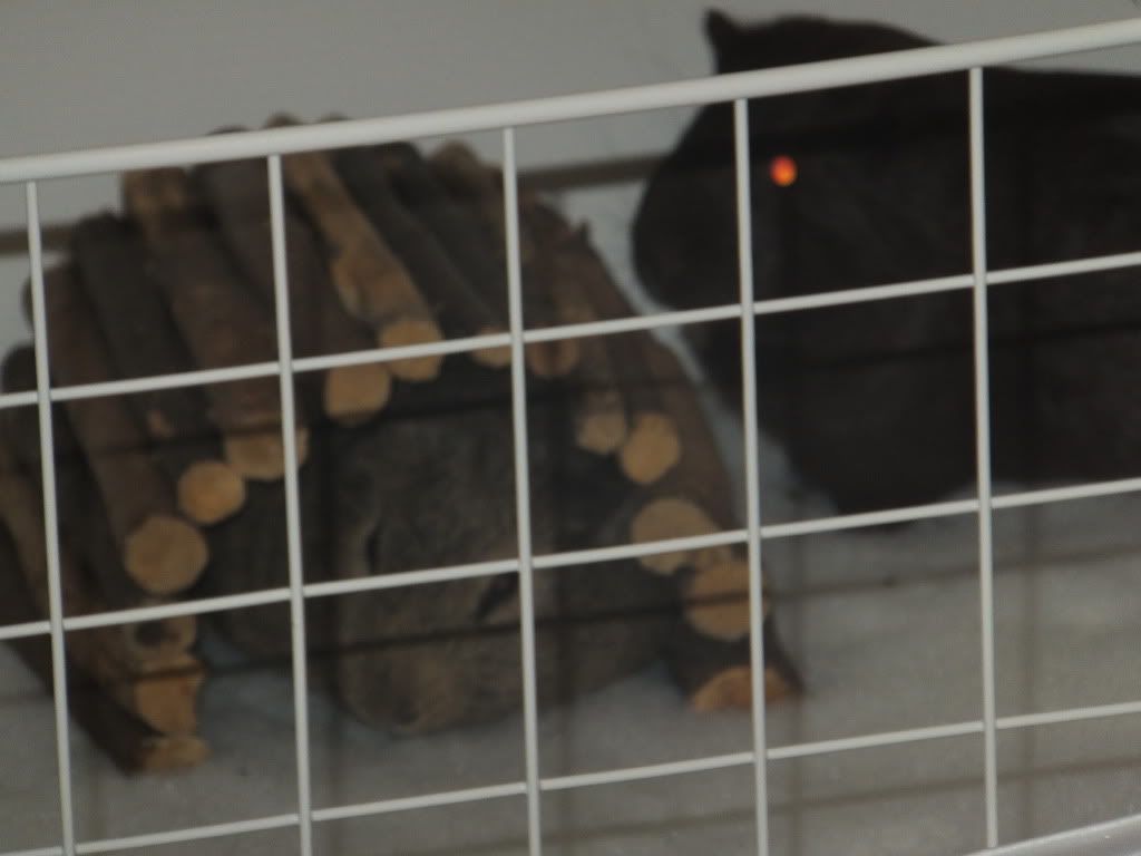 DSCF3386.jpg