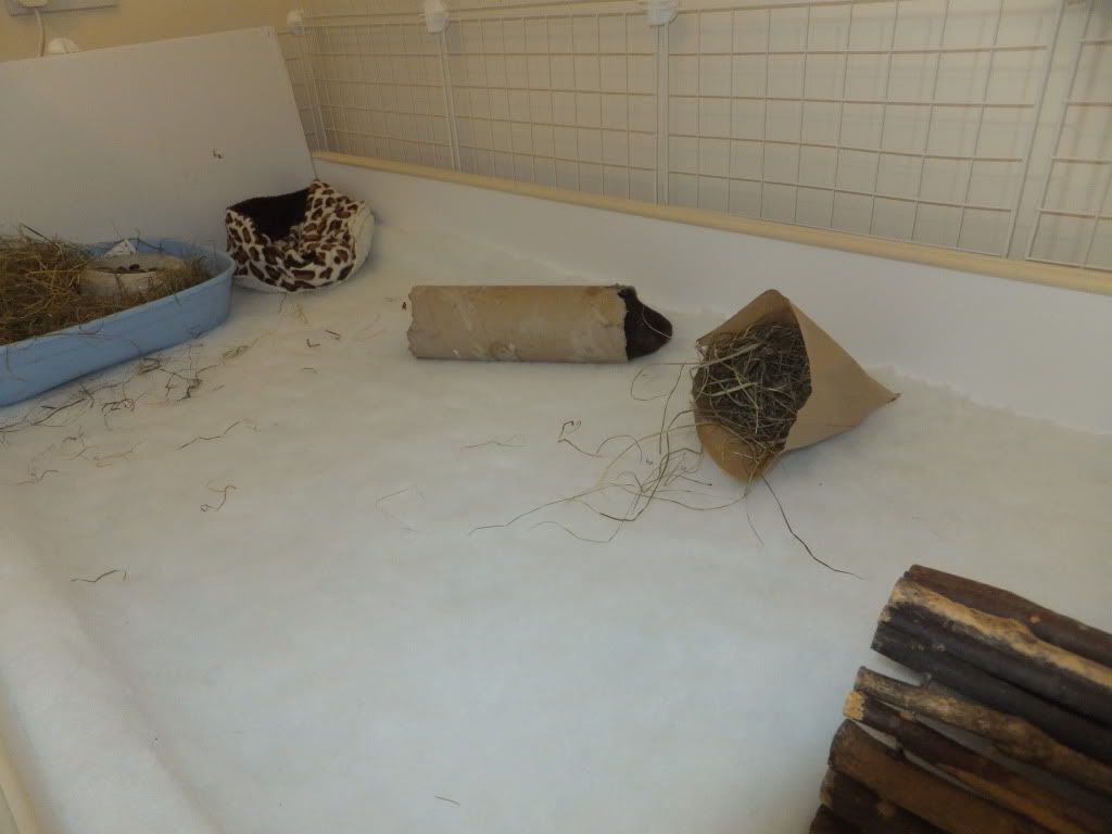 DSCF3394.jpg